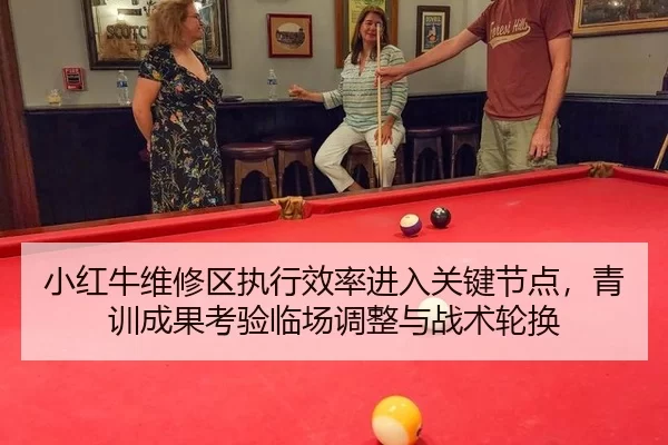 xiao-hong-niu-wei-xiu-qu-zhi-xing-xiao-lv-jin-ru-guan-jian-jie-dian-qing-xun-cheng-guo-kao-yan-lin-chang-tiao-zheng-yu-2-340.jpg